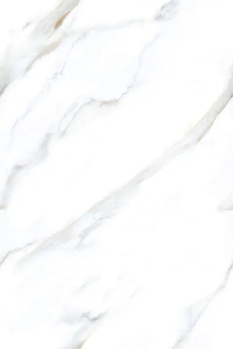 ROCCO WHITE view 4
